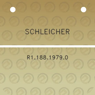 schleicher-r118819790