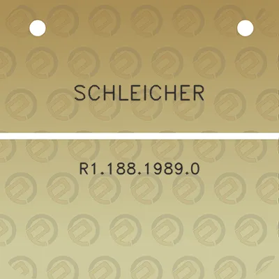 schleicher-r118819890