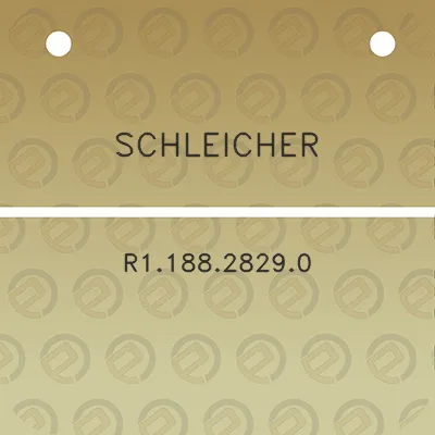 schleicher-r118828290