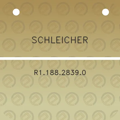 schleicher-r118828390