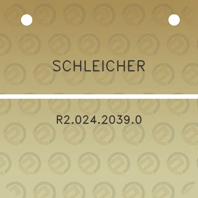 schleicher-r202420390