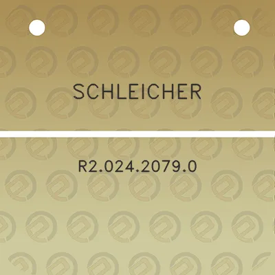 schleicher-r202420790