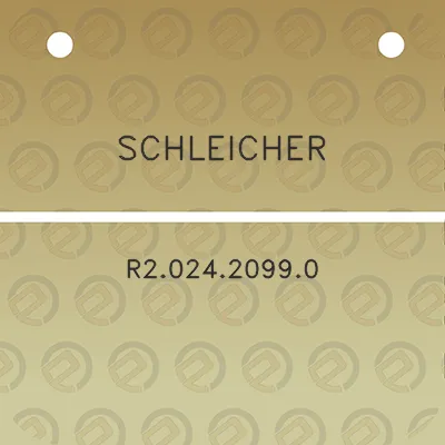 schleicher-r202420990