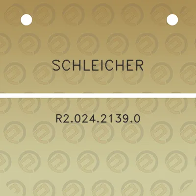 schleicher-r202421390