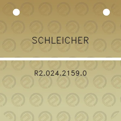 schleicher-r202421590