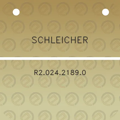 schleicher-r202421890