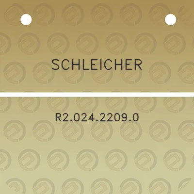 schleicher-r202422090