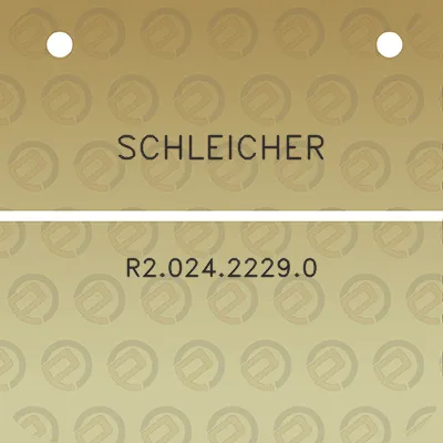 schleicher-r202422290