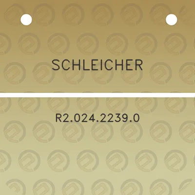 schleicher-r202422390