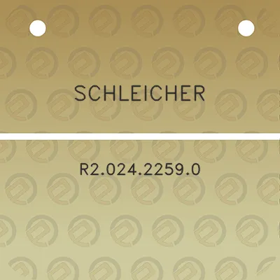 schleicher-r202422590