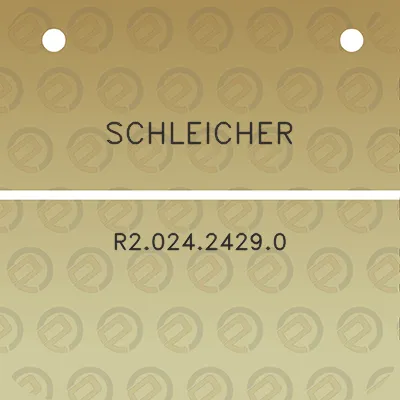 schleicher-r202424290