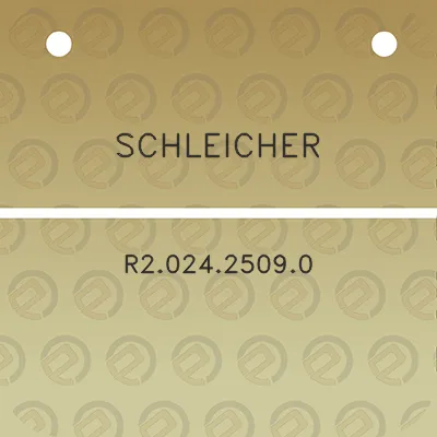 schleicher-r202425090