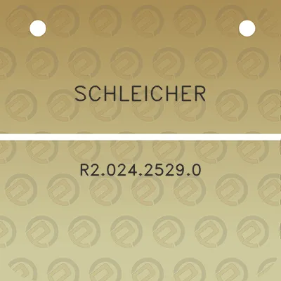 schleicher-r202425290