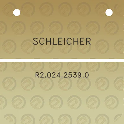 schleicher-r202425390