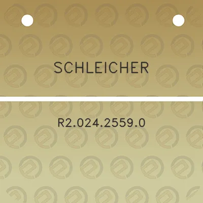 schleicher-r202425590