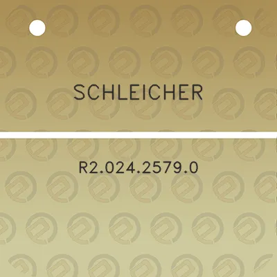 schleicher-r202425790