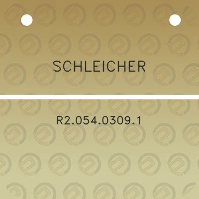 schleicher-r205403091