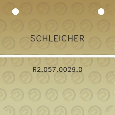 schleicher-r205700290