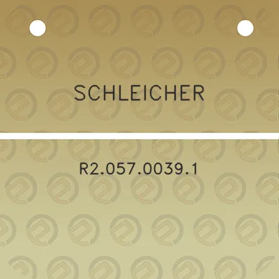 schleicher-r205700391