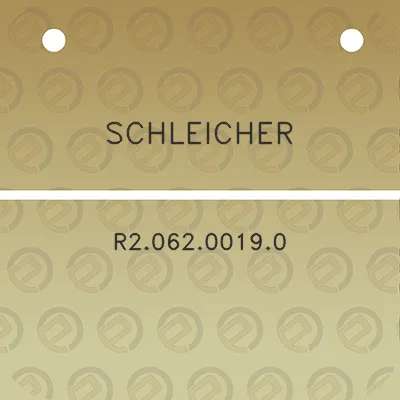 schleicher-r206200190