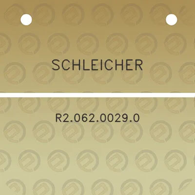 schleicher-r206200290