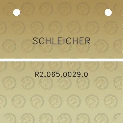 schleicher-r206500290