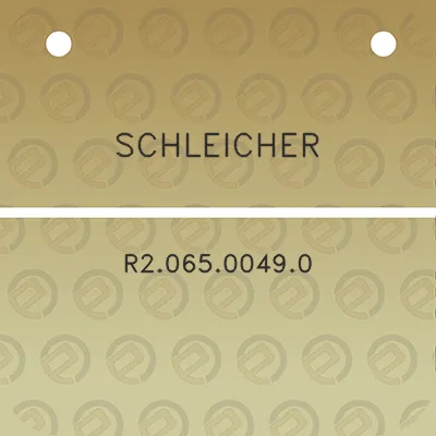 schleicher-r206500490