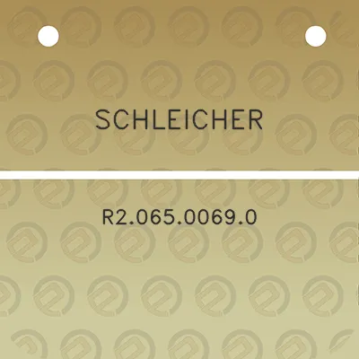 schleicher-r206500690