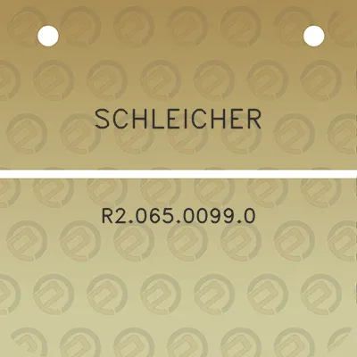 schleicher-r206500990