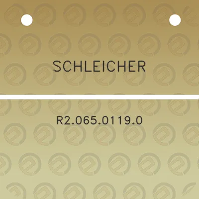 schleicher-r206501190