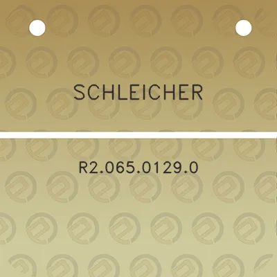 schleicher-r206501290