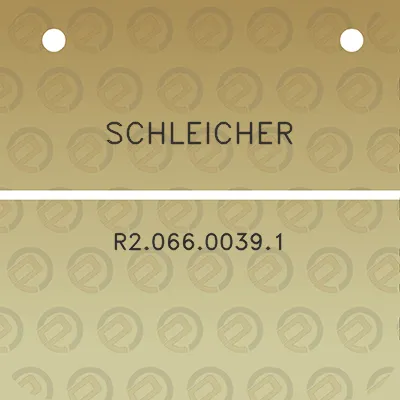 schleicher-r206600391