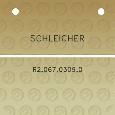 schleicher-r206703090