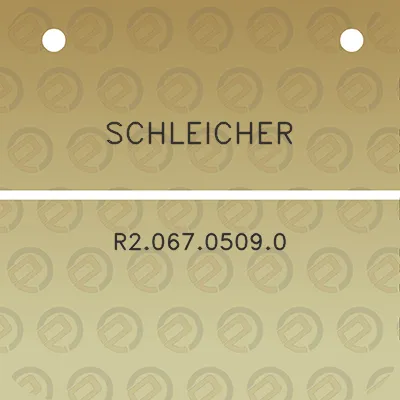 schleicher-r206705090