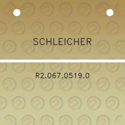 schleicher-r206705190