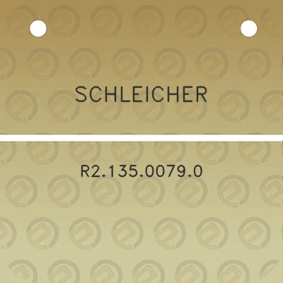 schleicher-r213500790