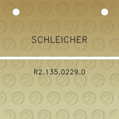 schleicher-r213502290