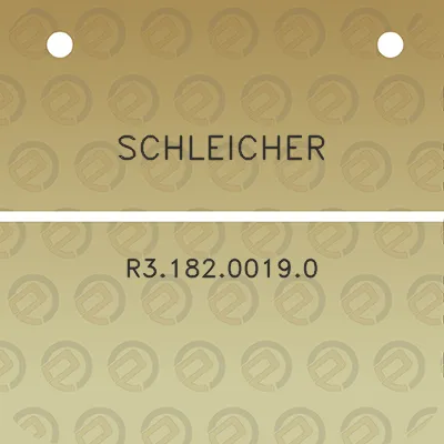 schleicher-r318200190