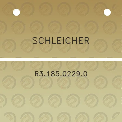 schleicher-r318502290