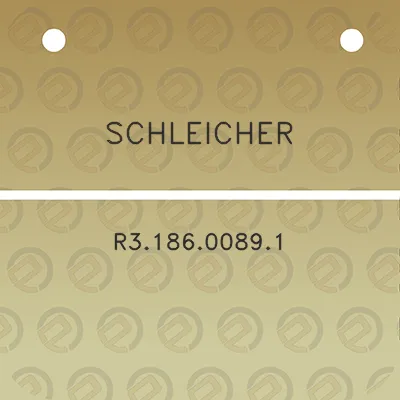 schleicher-r318600891