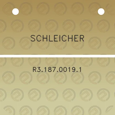 schleicher-r318700191