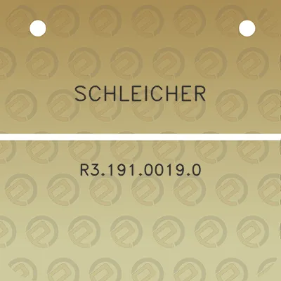 schleicher-r319100190