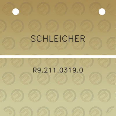 schleicher-r921103190