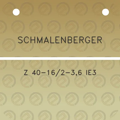 schmalenberger-z-40-162-36-ie3