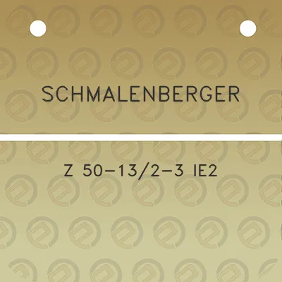 schmalenberger-z-50-132-3-ie2