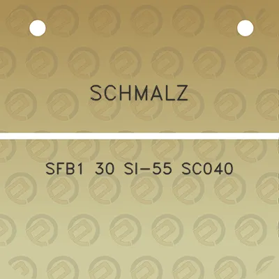 schmalz-sfb1-30-si-55-sc040