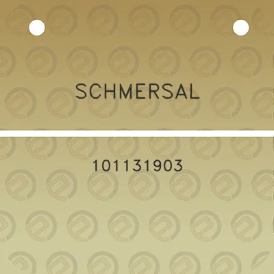 schmersal-101131903