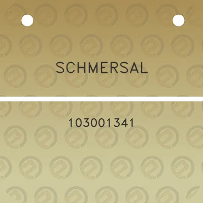 schmersal-103001341