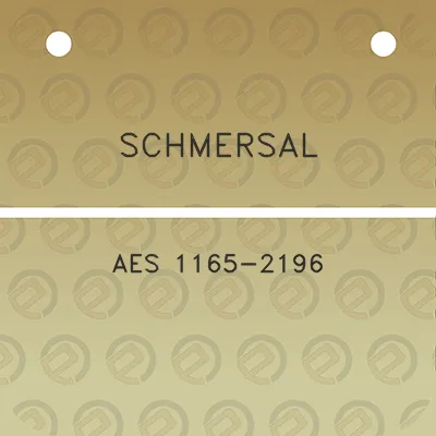 schmersal-aes-1165-2196