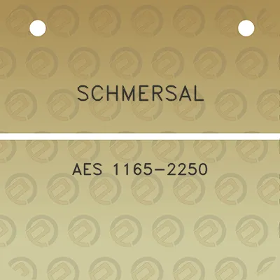 schmersal-aes-1165-2250